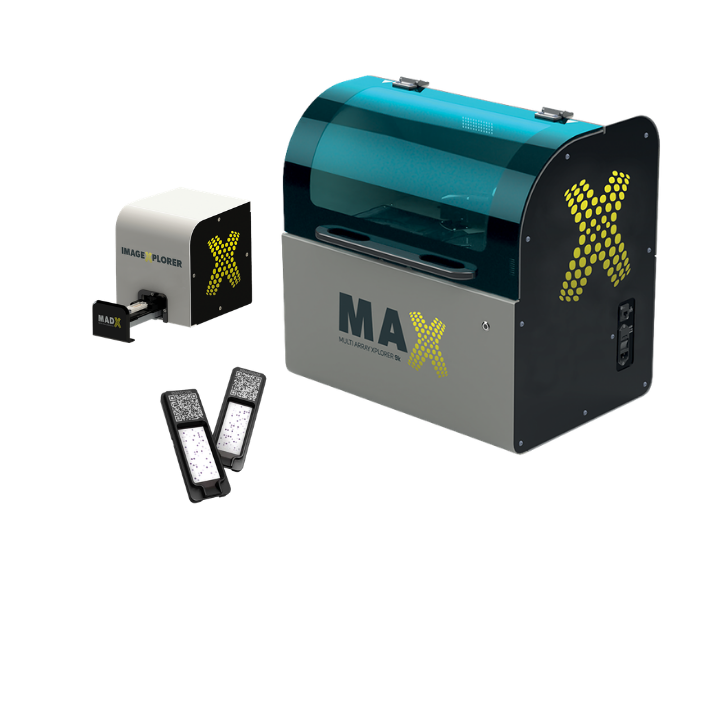 Design sans titre - 2026-02-17T133420.363